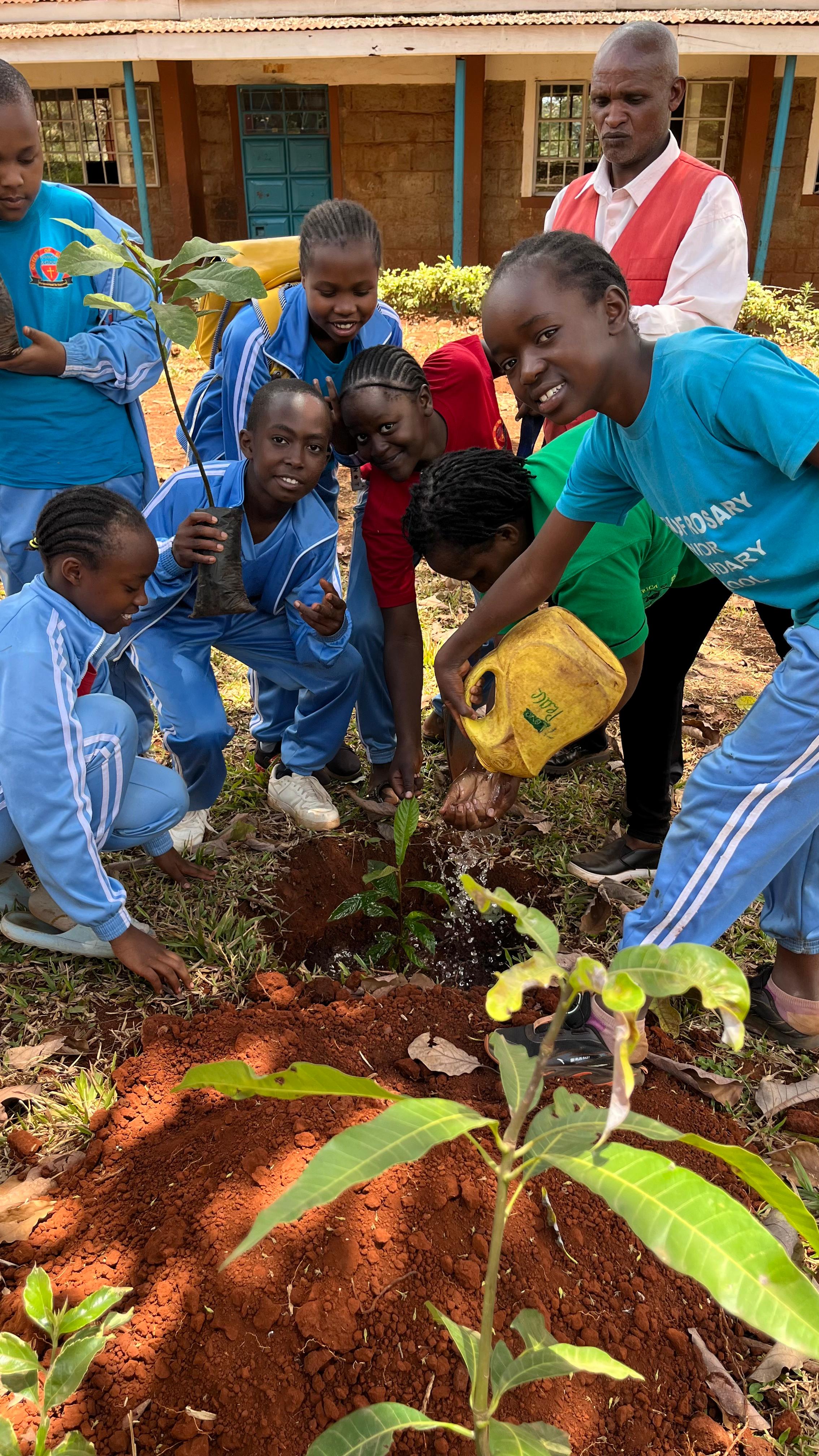 Students in environmental activities